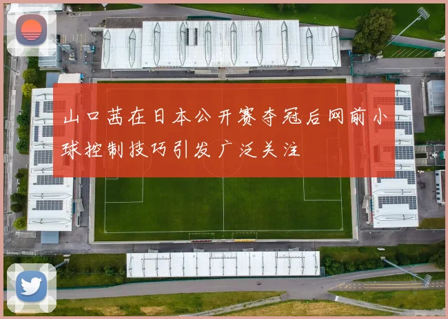 山口茜在日本公开赛夺冠后网前小球控制技巧引发广泛关注